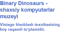 Binary Dinosaurs - shaxsiy kompyuterlar muzeyi Vintage hisoblash texnikasining boy raqamli to‘plamidir.